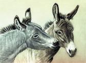 Donkey and Mule Art - Well Hello There